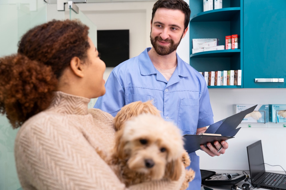 veterinary accounting services